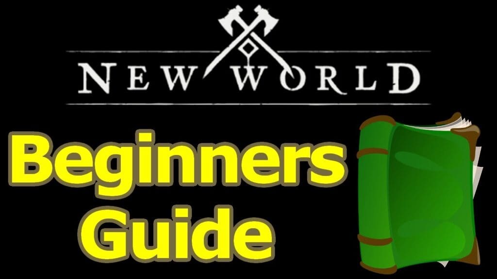 New World Beginner Guide 2022