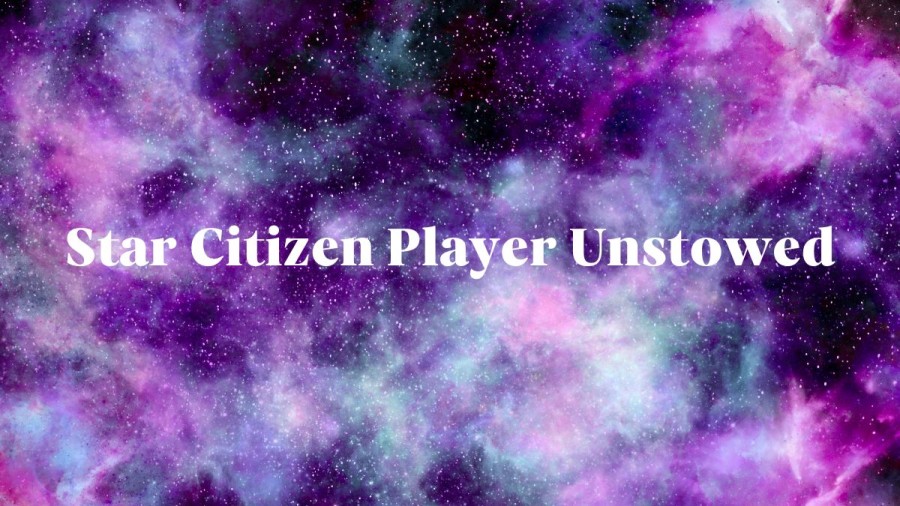 Player Unstowed Bug Star Citizen