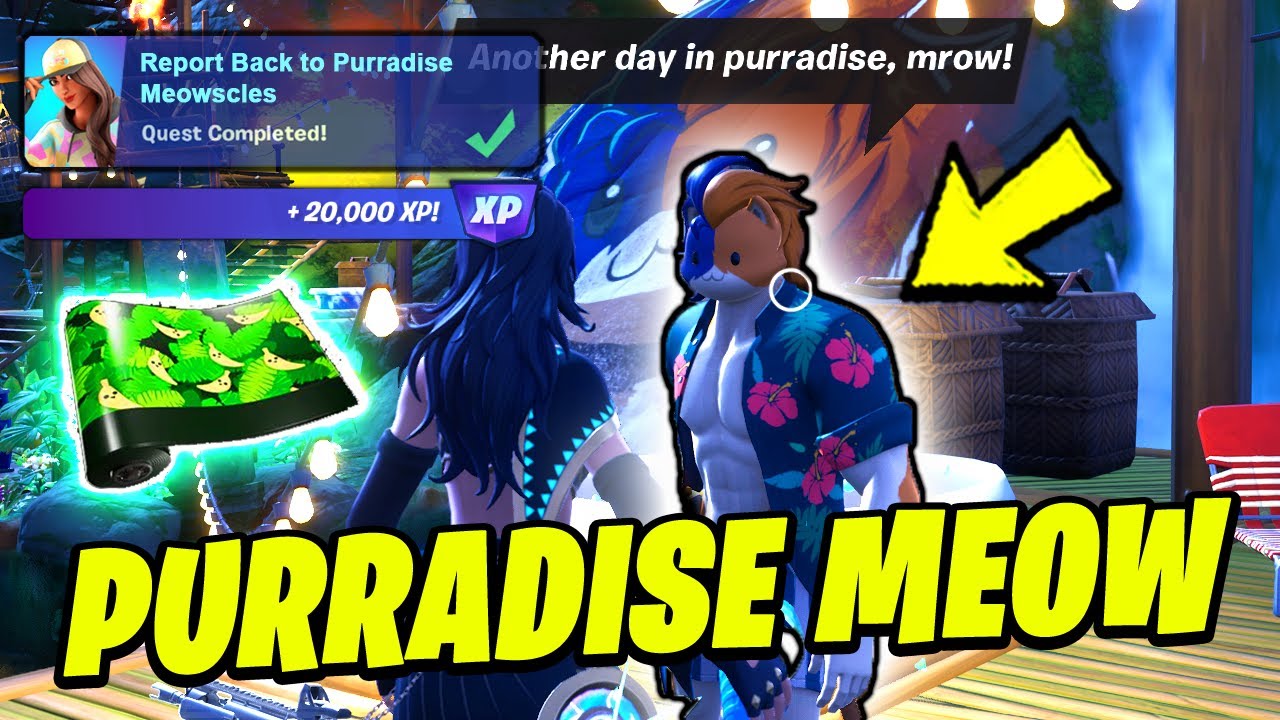Report back to Purradise Meowscles fortnite