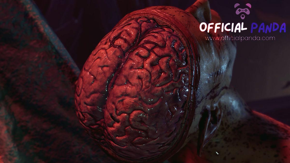 How to Remove the Brain from the Body Baldur's Gate 3